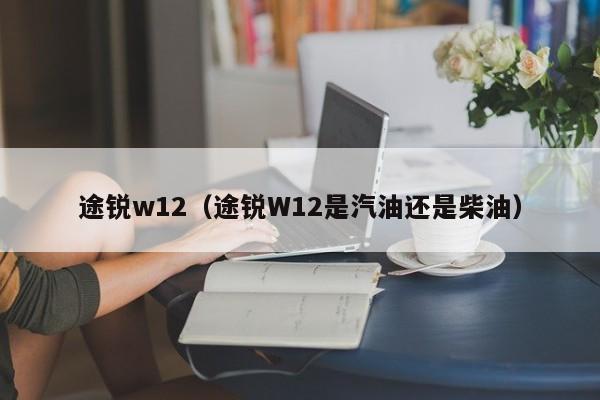 途锐w12（途锐W12是汽油还是柴油）