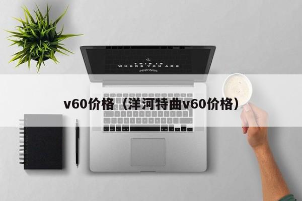 v60价格（洋河特曲v60价格）